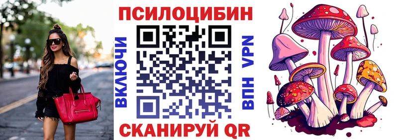 Купить закладки  Константиновск  Псилоцибиновые грибы Psilocybe 